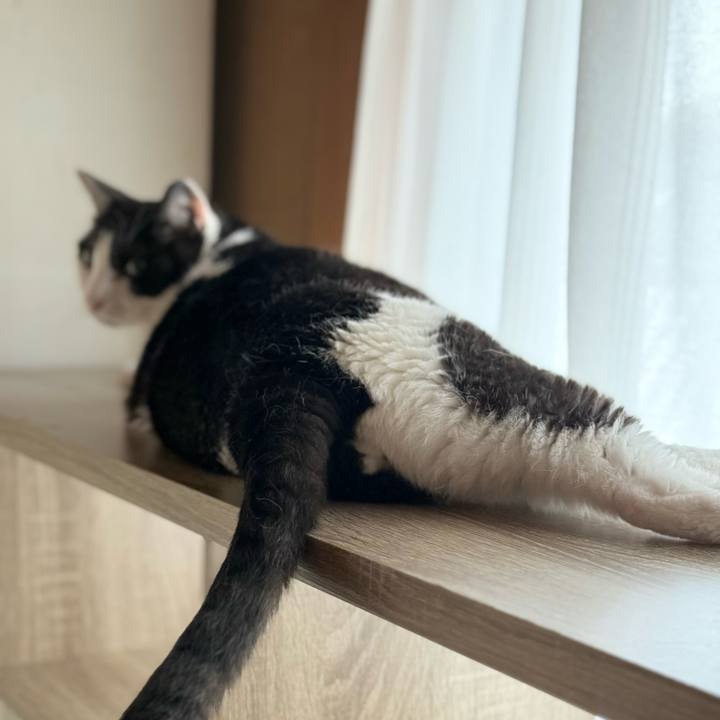 423af2a7 76d5 4398 875b 5afba111fdec 1753063086446