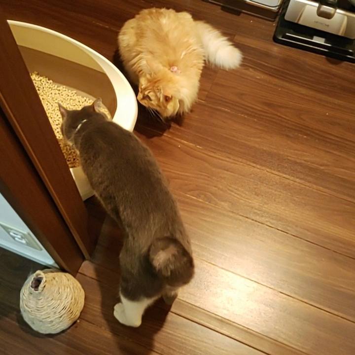 423af3ba 7412 4f9f b282 be34ac29fae3 1684674798398