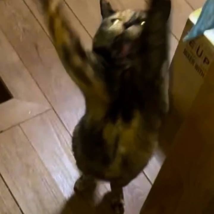 423b1577 c2e5 4050 ae77 376adeadfad6 1741286338658