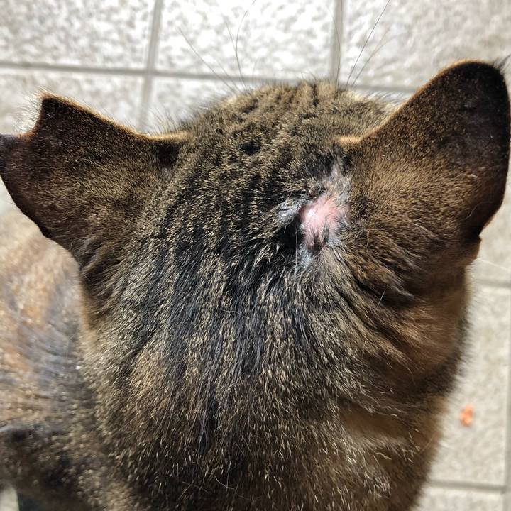 423b3a53 0ac5 4c4b 9bca 5b2257593ec4 1528258154182