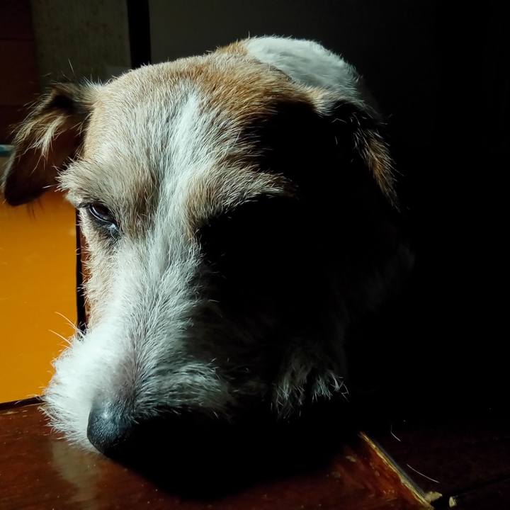 423b54d7 dbbf 4ced bd47 68c34c77f8af 1541764932514