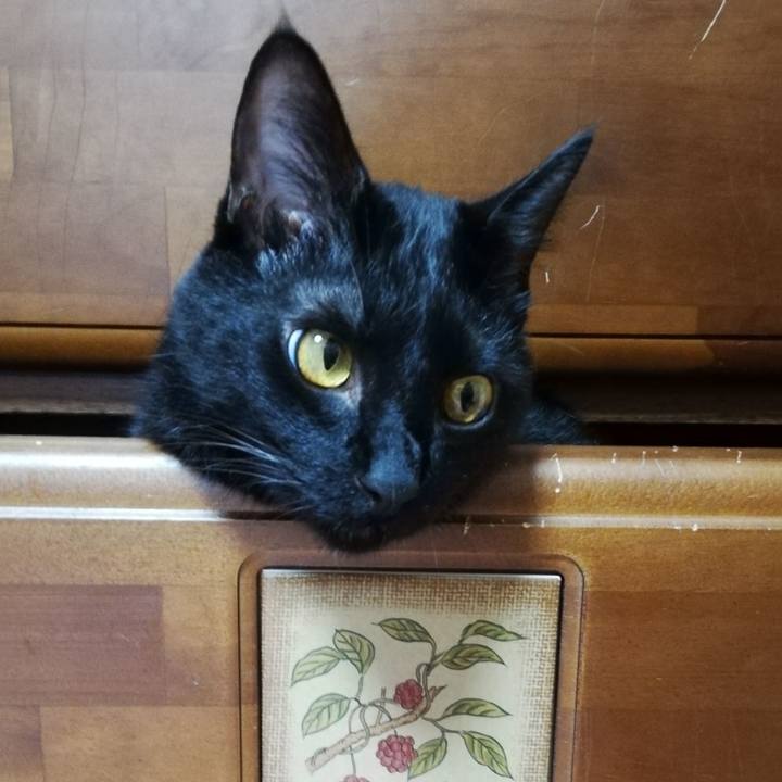 423b661e 0d49 401c 83f8 ba32872b4fb7 1625264046359