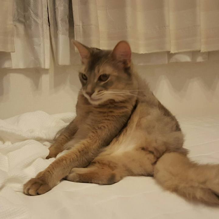 423b68e0 7c31 44a2 bcb5 fb493a2ddf06 1535354654136