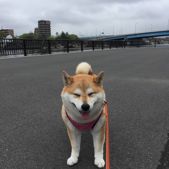 423bc5e4 3461 429e b8ac de9f402670f0 1556163945516