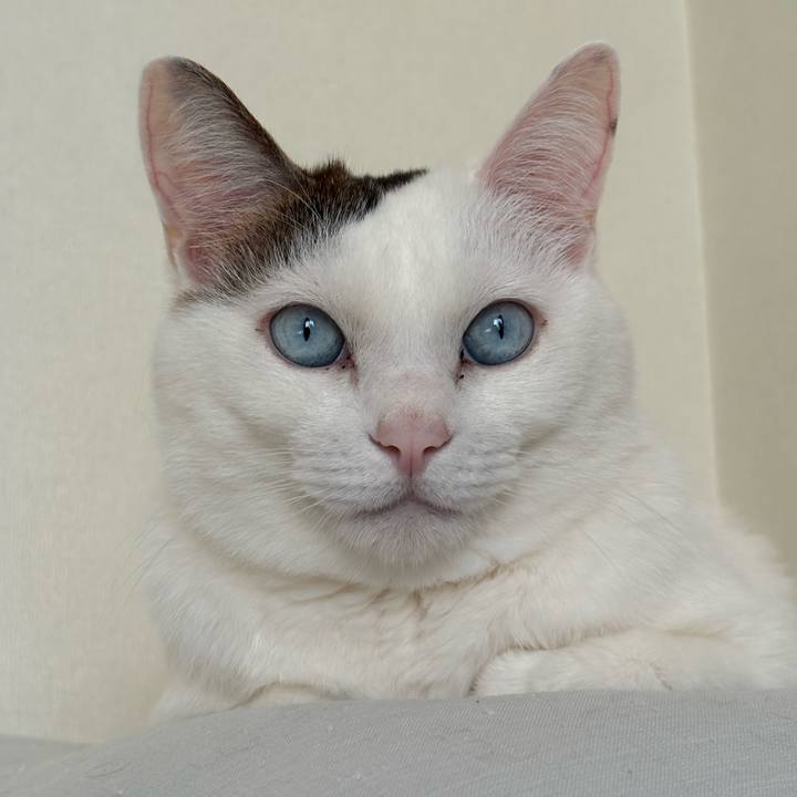 423bf450 5676 4107 b114 1b90d85a4c7c 1771721213337