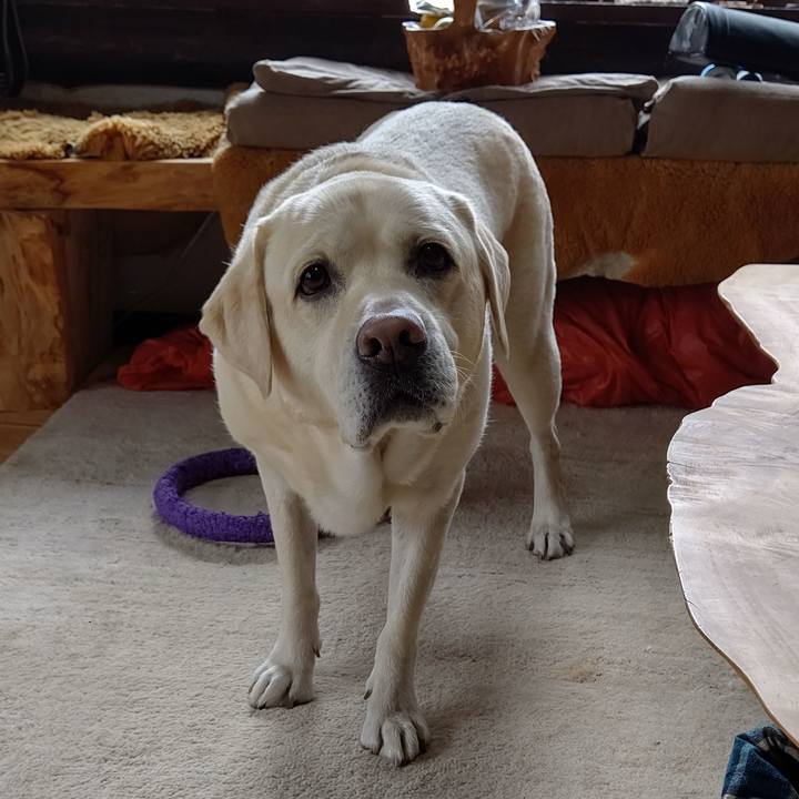 423c2171 ec1e 4cde 8661 f849ebdd967b 1665365139080