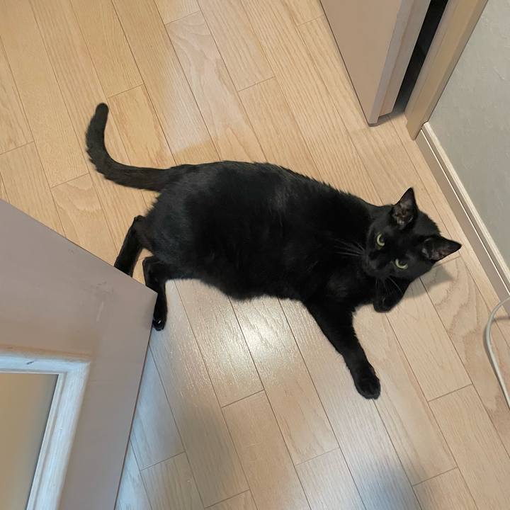 423c539e f929 4123 ac39 87e827f2ea7c 1715686792853