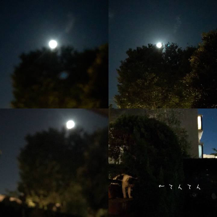 423c60c3 bb62 4b38 9d81 cbd92729d1b6 1535211761864