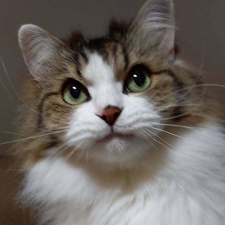 423c7544 b63d 4025 a2bf d7fde4ff6383 1638604938683