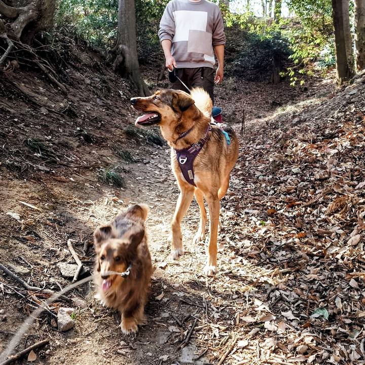 423c78dc 68ad 4947 903c 9dd607c9c051 1771823289444