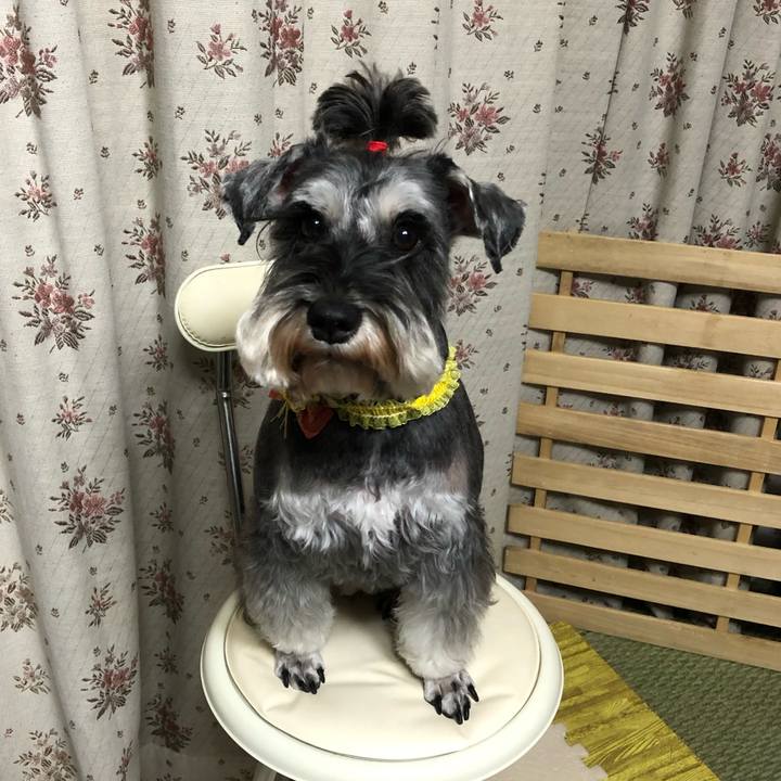 423c8ef0 4dc6 49a4 9d81 5660773a12c0 1606996408665