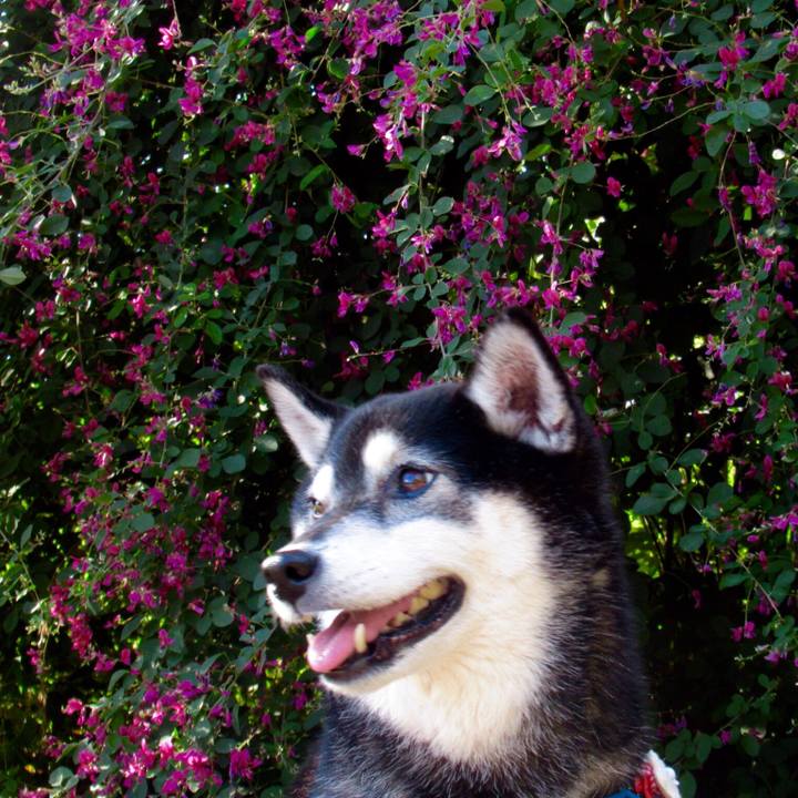 423c9a41 adf1 4f4b ad5c 9375f9c80caf 1632903927789