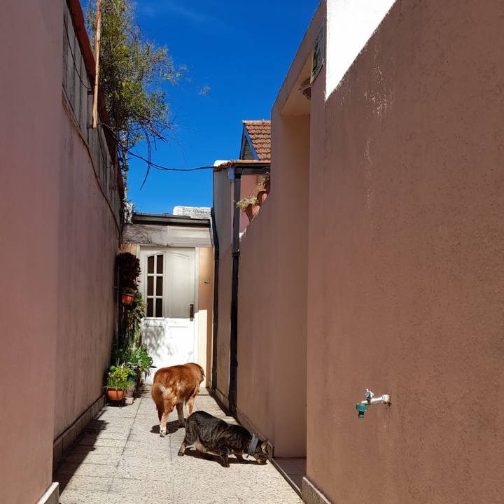 423cc3ce 4b6e 44d8 9662 a871b266b0ba 1758074022766