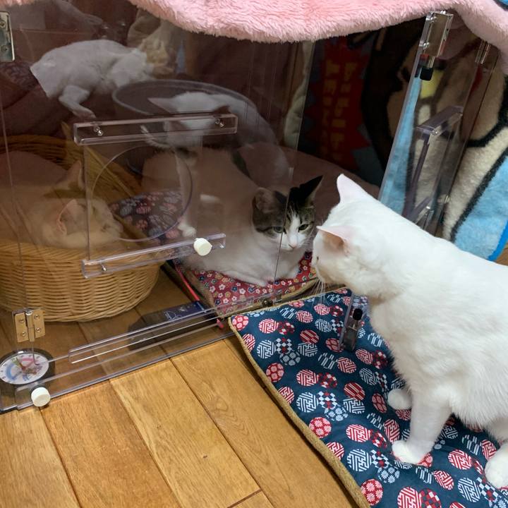 423cc8ca dcc7 42d7 81b0 67eb4c92107f 1579347891241