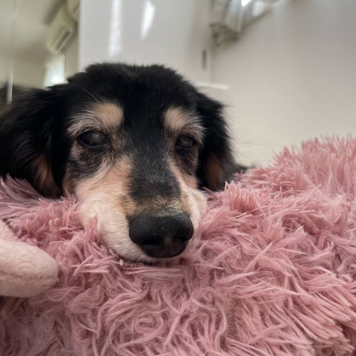 423cd7a0 18dc 4a59 9f6d 48e6546ea7e4 1773028373751