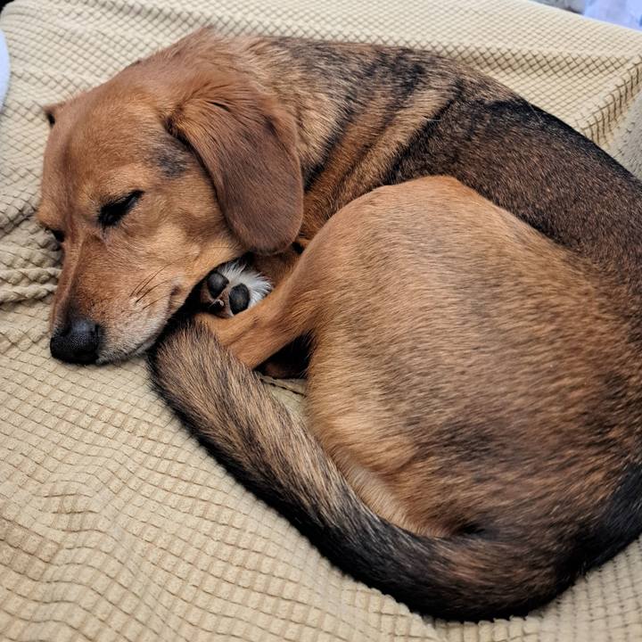 423ce52d fa2d 4b1b 8d69 58f264f61c61 1772243428187