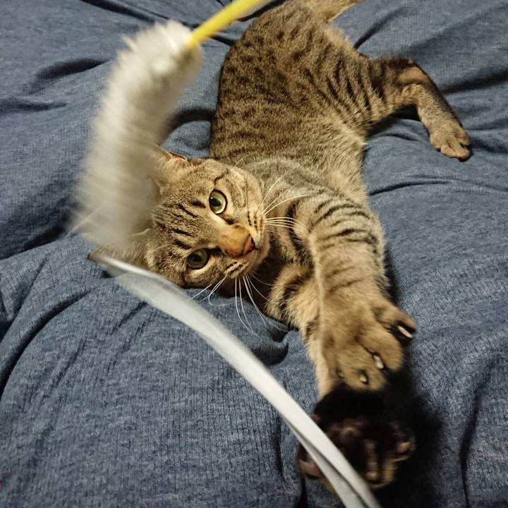 423cf352 cf7c 4c9d ae9c ecc178eb30f5 1551309842127