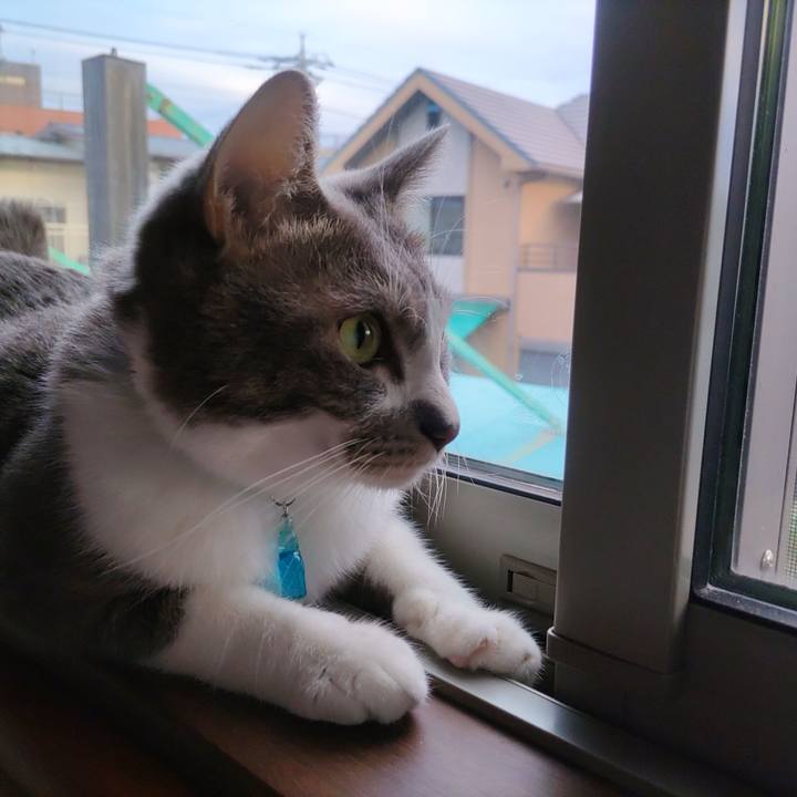 423d1043 40d9 452f abd2 b9d9e8db3be4 1661118623233