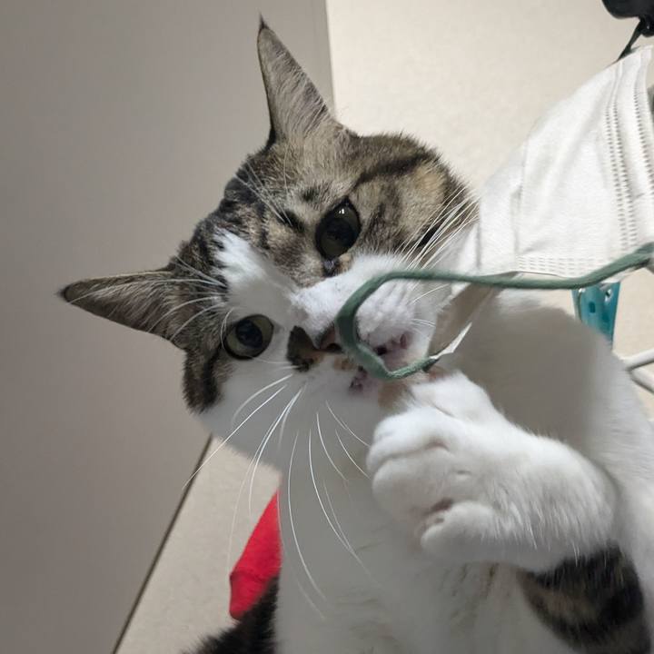 423d4c3e 1026 4849 86cd e59f79b23cd9 1735477087131