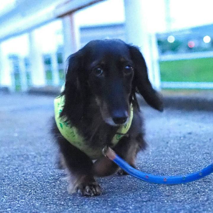 423d8689 3e1d 4f2c 9007 44a15ae5a054 1592824474115