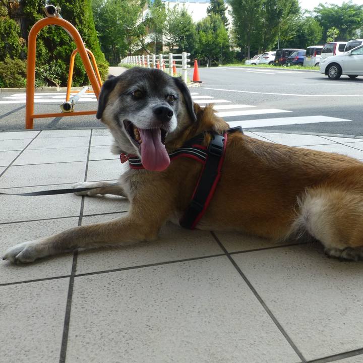 423d991a d8bf 4702 ba42 9eae5e20d6c9 1613868712570