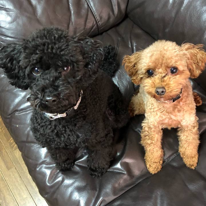 423da131 46fd 4a43 b6be e80e6d8b32e7 1544394650259