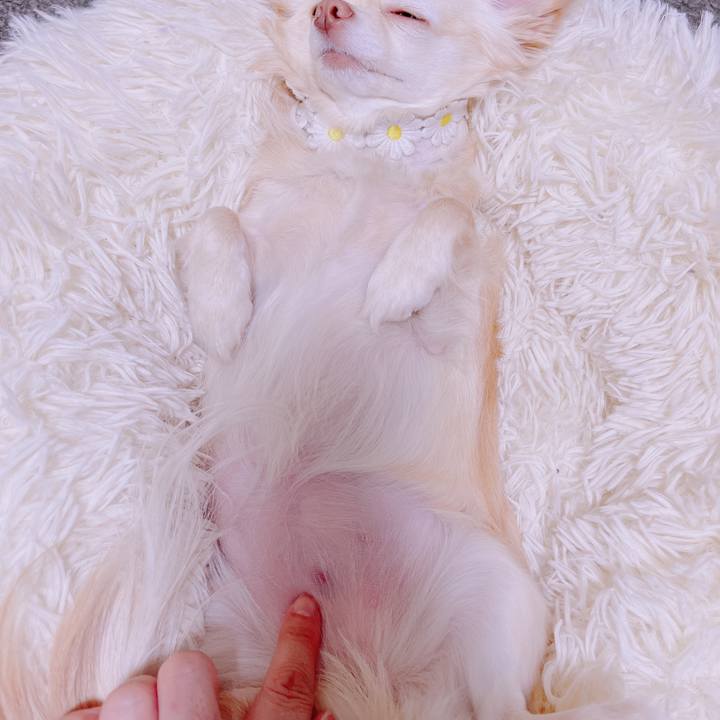 423dbaa2 01cc 409c b32d 7b0bca4241c9 1681466075043