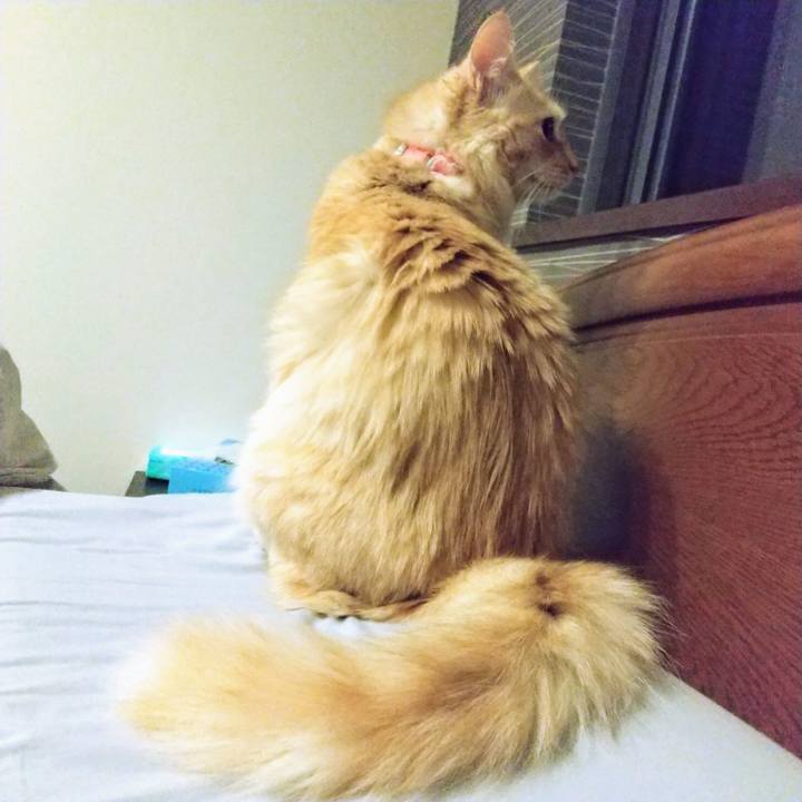 423dbd1d 588d 4728 9eec dabbd71cc27a 1634821441807