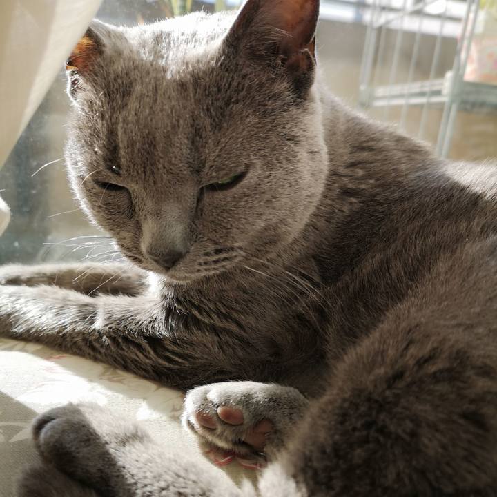 423dbf2a 67f8 439f a982 ed4b8ce02742 1609547073647