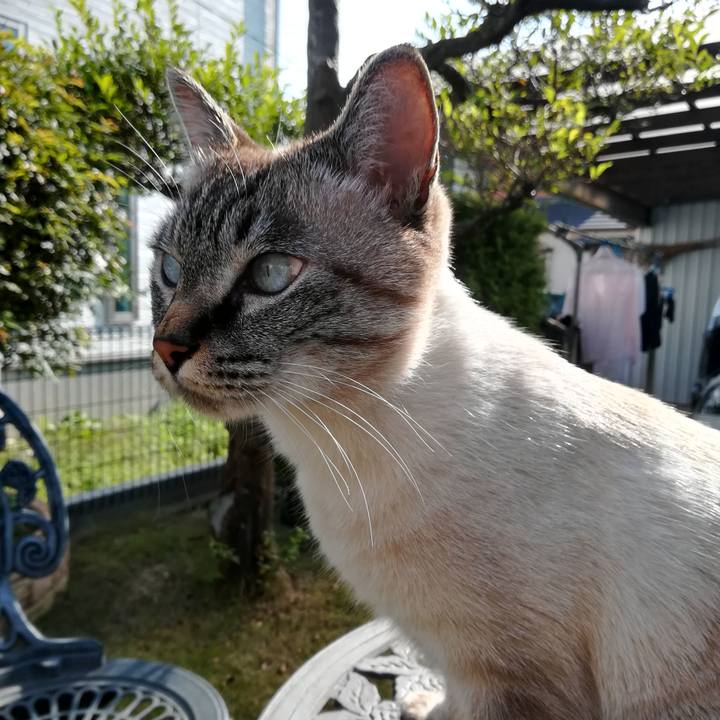 423e02aa 9656 4786 b750 3c2a0c188530 1543118501392