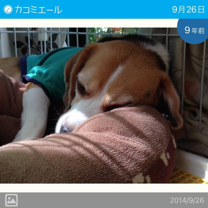 423e3a39 78db 430a 89ef 1065364571bf 1695688364422