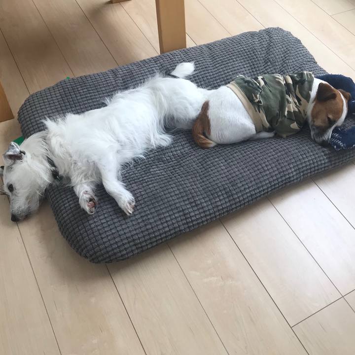 423e8266 c7ec 4953 b74a 37da66fac478 1531357985423