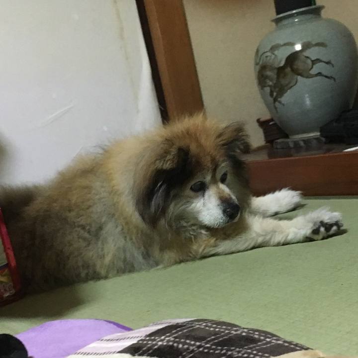 423e94b0 bd52 4ea9 84c5 60935f74eef8 1564719146075