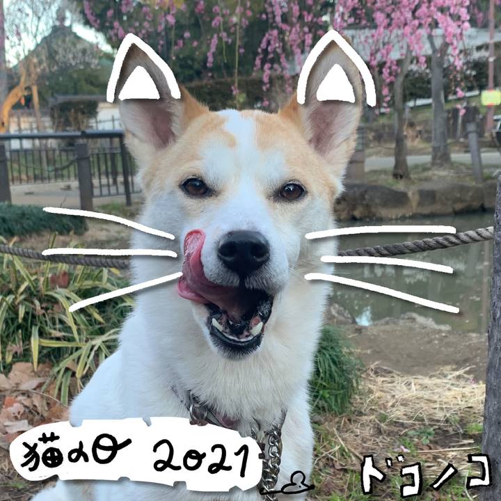 423eb18b cbe8 487a 80ac 05c91d3f0ddf 1613985024354