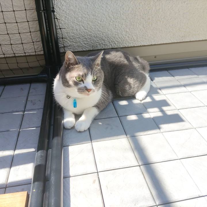 423eb2c1 e117 40f4 9ce9 2d16aa3a6403 1718072310141