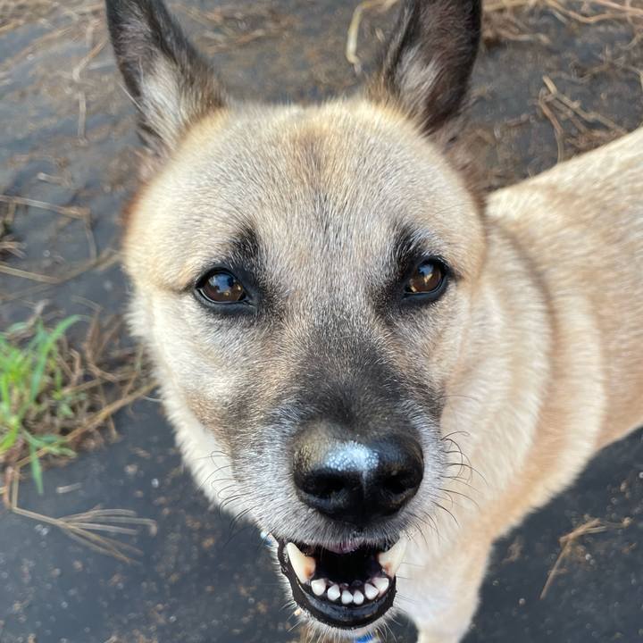 423ec073 aa2e 4858 bb0e 365b9e5ef3d5 1662636032696