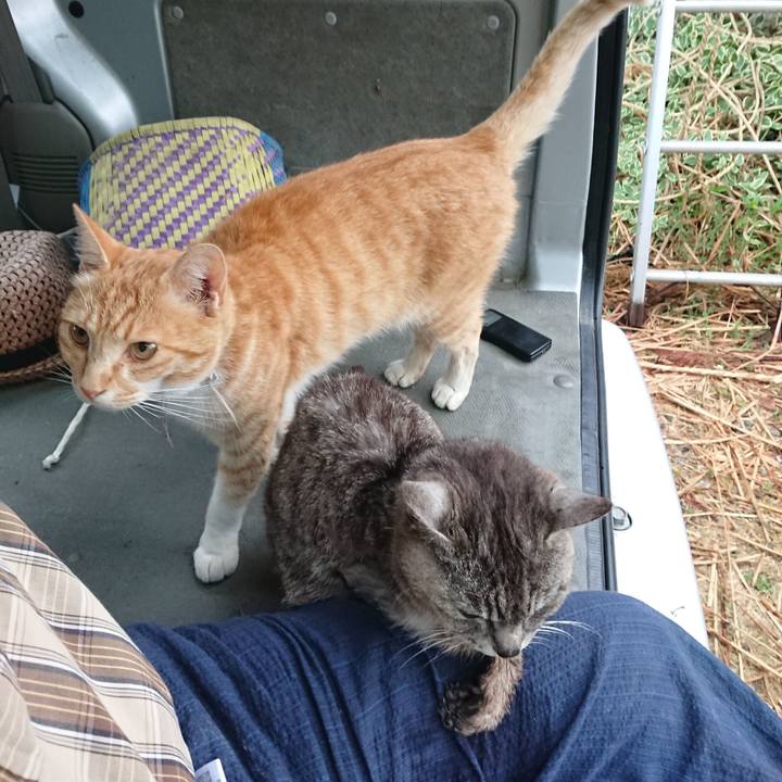 423ed3e6 a436 4c5c a790 bf3e9ccf8144 1592857659430