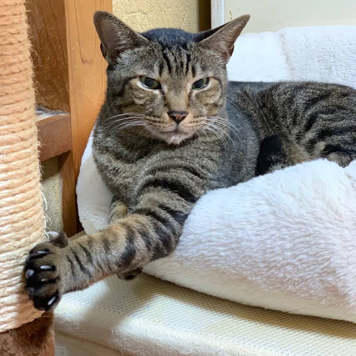 423eebe4 7b80 4d3a 8bb5 a371df2ad4a2 1542070289335