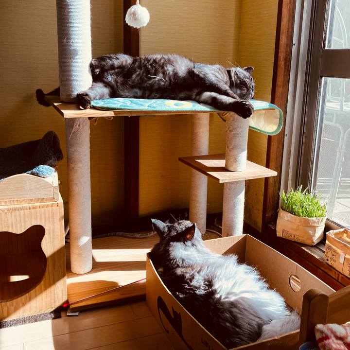 423f16da 6d77 4ee0 a2bc 4f7485c03cc3 1735788992641