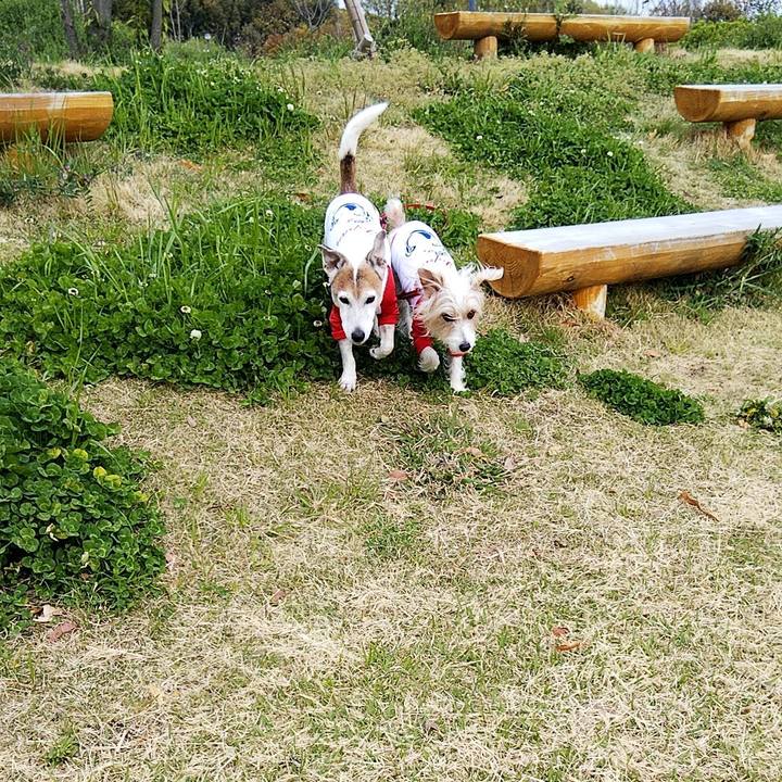 423f38e4 7d9a 400e 937d b575960296cc 1586934001613