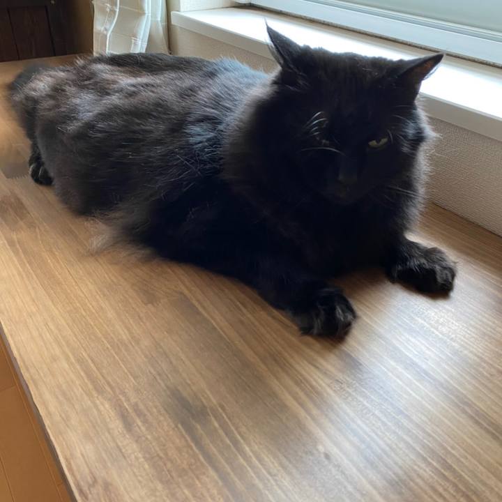 423f64eb e1b9 4f9c a438 f7fd4d0807b4 1623303784249