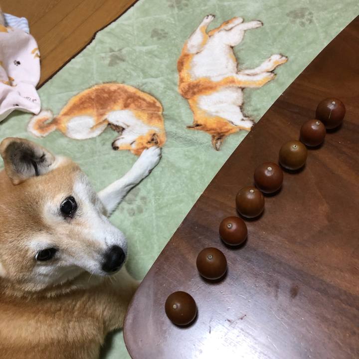 423f67ca 5691 4e73 89fa ebb3fa44d53e 1603773943800