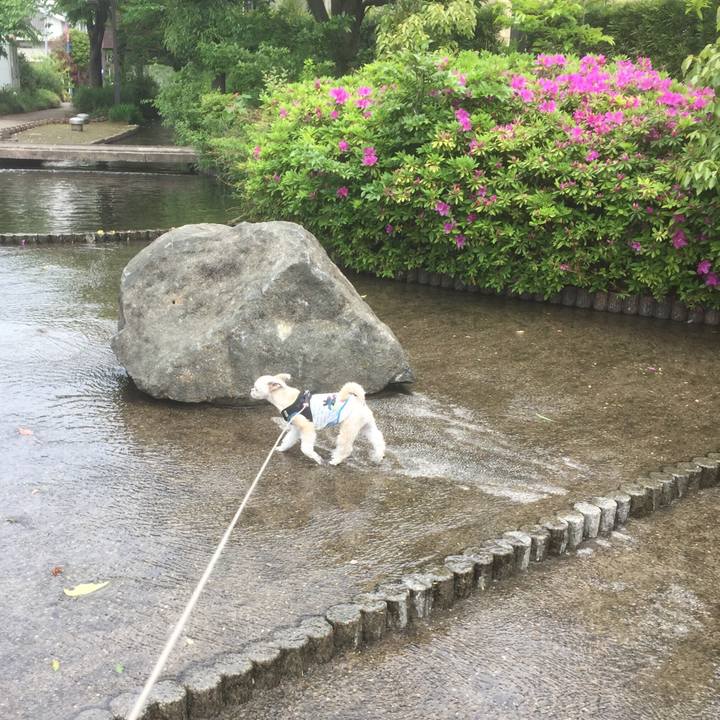 423f6a65 61a9 4af7 8034 62e1455f93e7 1556353582107