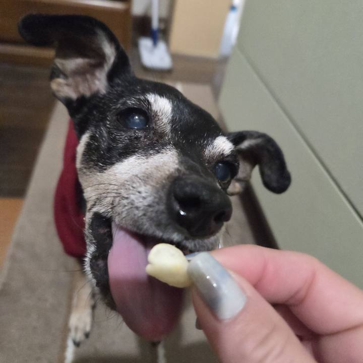 423f9a9c b4fa 4e58 a4d9 c709b0dfe643 1771876178605