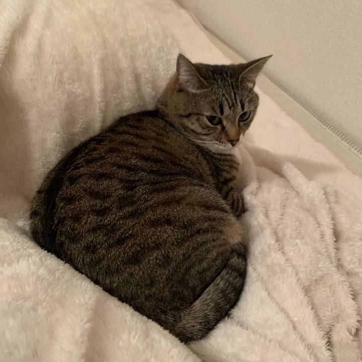 423fa22e 265a 4da3 8124 62acf3f82495 1643119857898