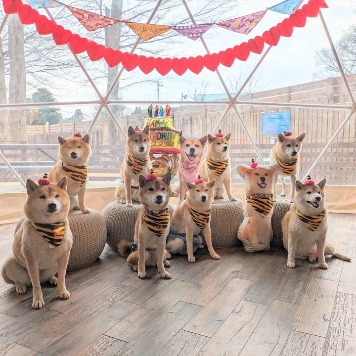 423fc3a7 1e9f 41fa 80d3 0438900ae07f 1706667526077