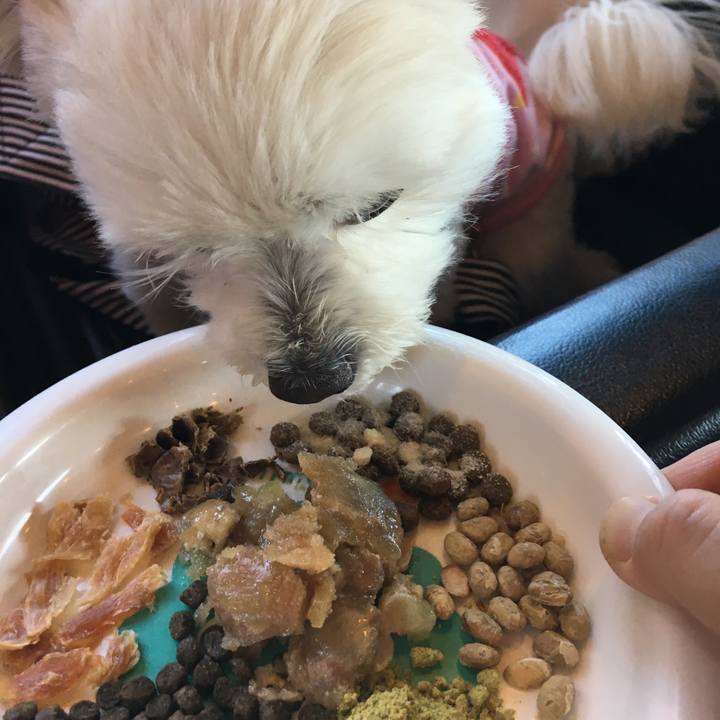 423fe59d 366a 4c8f 9800 a888337c8846 1509680604872