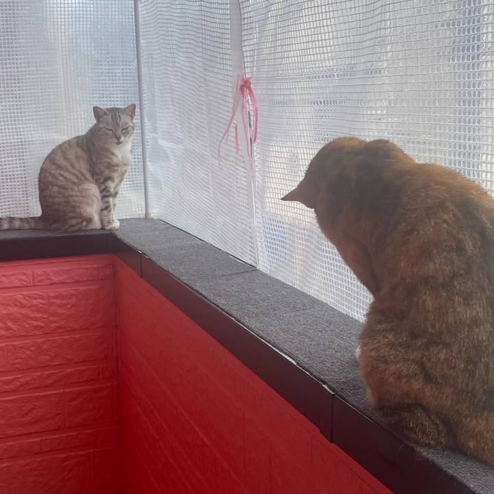 423fec52 de66 4398 83e0 f4d61d0c03e5 1622865616356