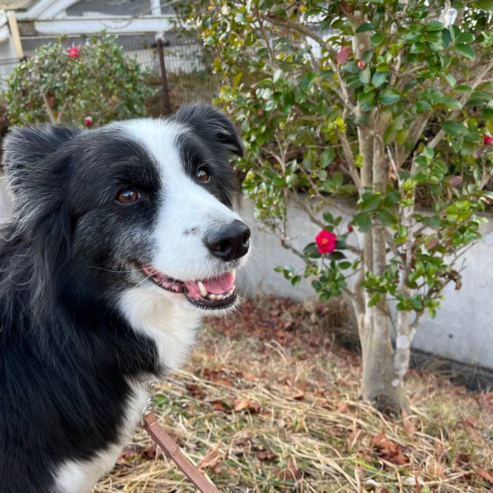 423ffa97 0c6f 400d 943b b275ec9b0841 1768018432599