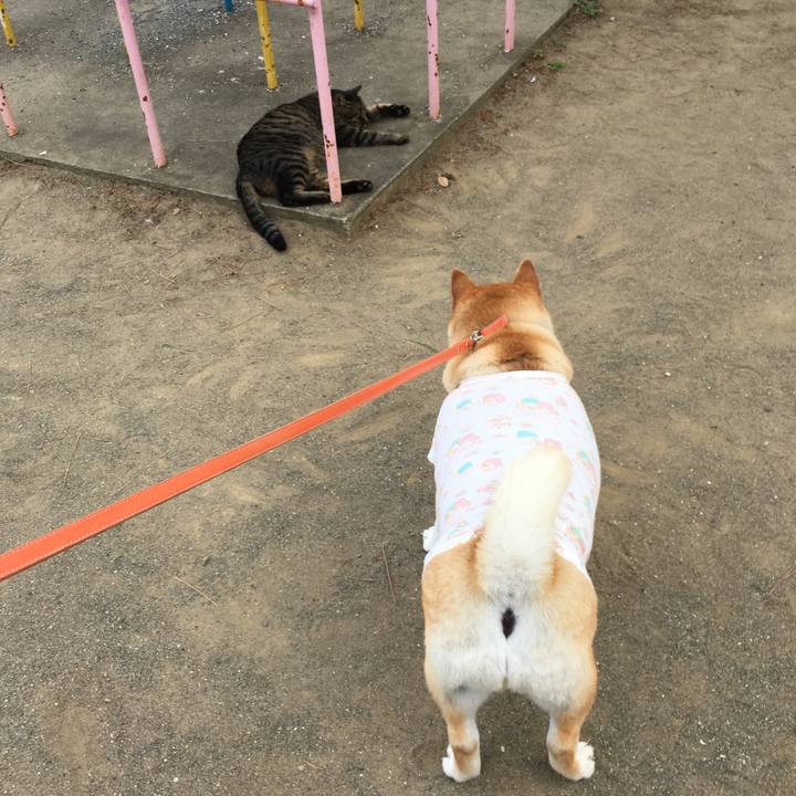 42400a4d 9d26 4d67 baa8 3f29cf4135ee 1613300552622